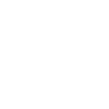 Lion Lion Head Predator