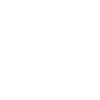 Lion Lion Head Predator