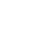 Lion Lion Head Predator
