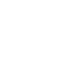 Löwe Löwenkopf Raubtier
