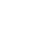 Lion Lion Head Predator