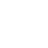 Lion Lion Head Predator