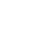 Lion Lion Head Predator