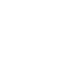 Lion Lion Head Predator