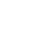 Lion Lion Head Predator