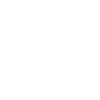 Lion Lion Head Predator