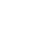 Lion Lion Head Predator