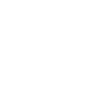 Lion Lion Head Predator