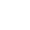 Lion Lion Head Predator