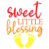 Sweet Little Blessing 2
