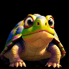 Tortoise