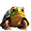 Tortoise no background