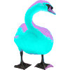 Swan