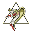 Beautiful snake design cobra