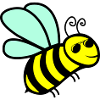 biene cool