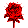Rose Flower Thorns