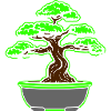 Bonsai Tree Symbol
