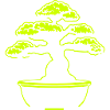 Bonsai Tree Symbol