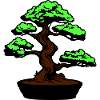 Tree Bonsai Symbol