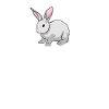 Lapin Heartbeat Lapin