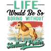 Shetland Pony Cadeau Shetty