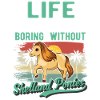 Shetland Pony Gift Shetty