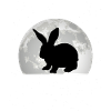 Lapin Lune Lapin Lapin