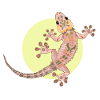 gecko