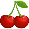 Two sweet red cherries