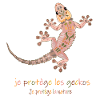 gecko