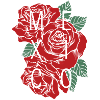 Mexico with Roses