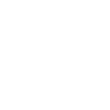 Highland Cow