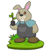 Plantule d’éleveur de lapins