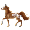 Autumnal horse🍁🍂