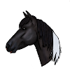Grisel x Equiino
