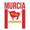Bullfighting in Murcia Souvenir