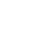 Giraffe many giraffes