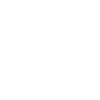 Monkey Cute Monkey