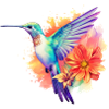 Hummingbird