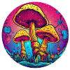 SHROOM