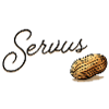 Serius Mandel Script Design