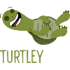 Turtle Turtle Pun Gift