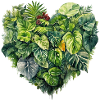 Leaf Heart Tropical Forest