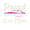 Muscle Car Enthusiast Car Enthusiast