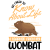 Australischer Wombat