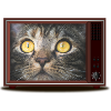 Cat on TV