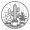 Cactus and succulent drawing