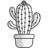 Cactus drawing