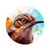 Wren bird