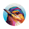 Wren bird